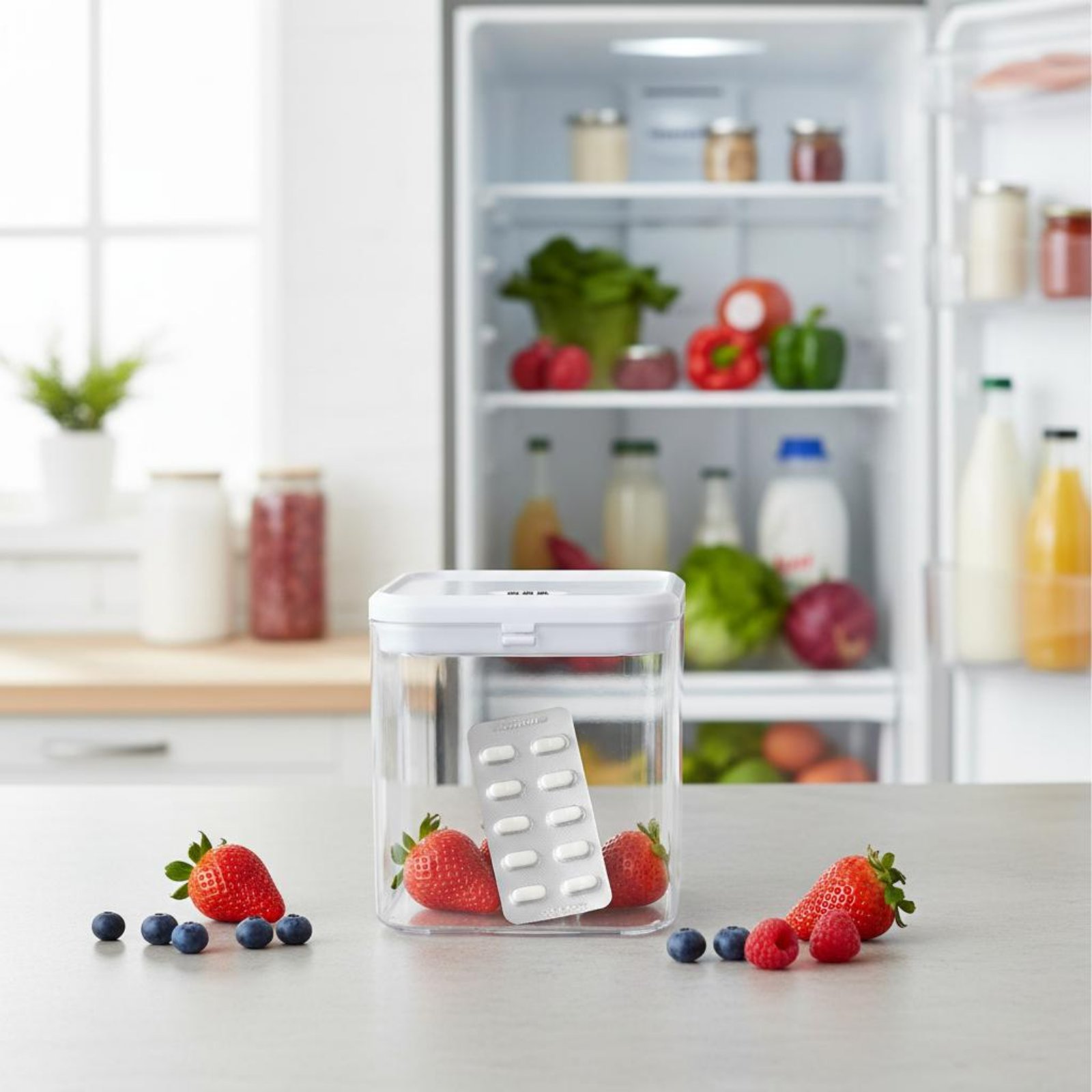 Clear Lockable Box Versatile L - Food & Snacks Coloring Book Bold & Easy Designs For Adults And Kids Bold & Easy Coloring Books ulasan dan harga